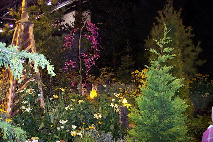 L_W 091.jpg